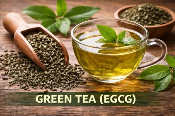 BreathEaseX™ Green Tea Extract